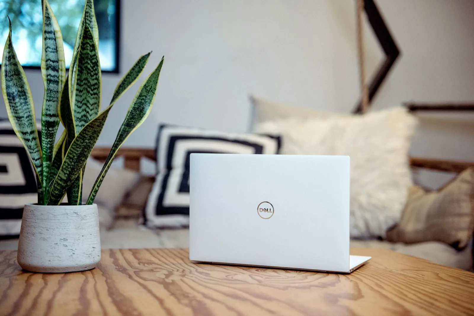 Laptop open on a sofa beside a houseplant
