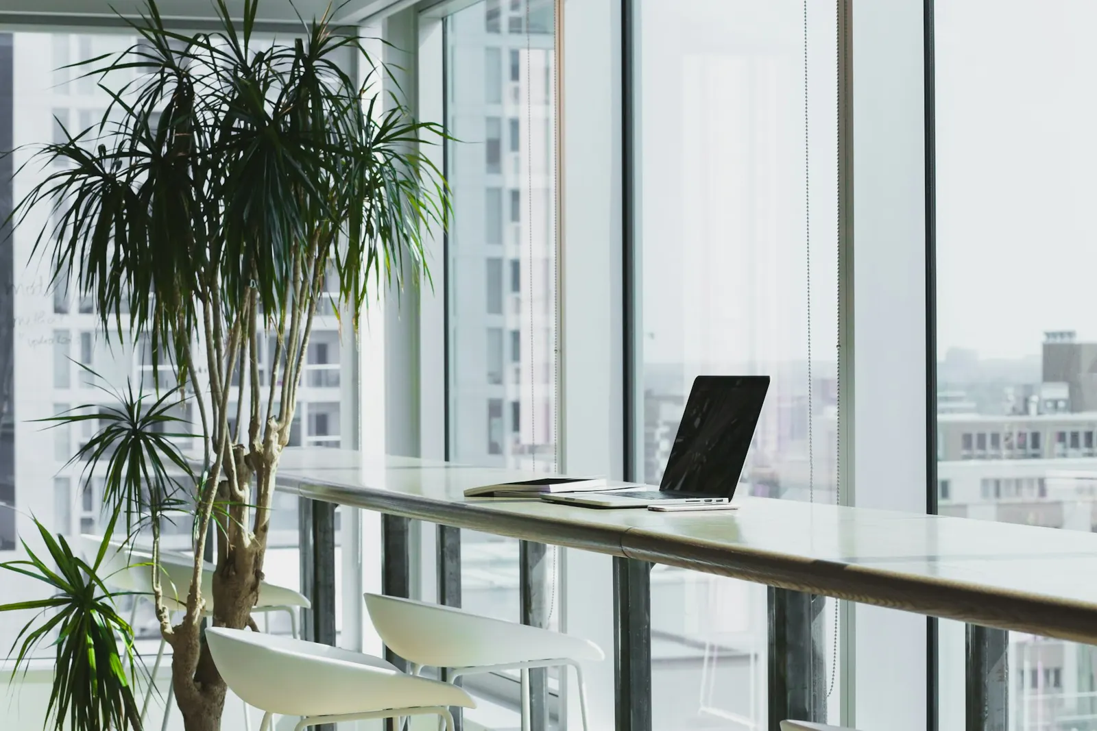 Office corner with wood furniture, plants, and tall windows